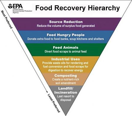 Food recovery hierarchy